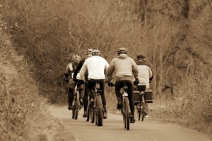 Fahrradgarage Test & Vergleich